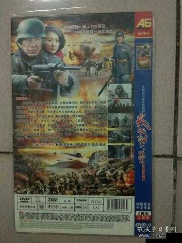 高清 DVD 碟片生活片：展现真实生活中的温暖与感动