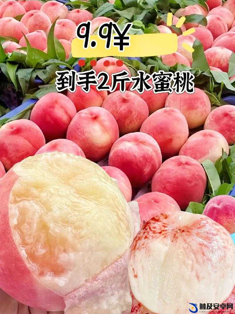 水蜜桃编码 1038：甜蜜多汁的水蜜桃 1038 等你来品尝