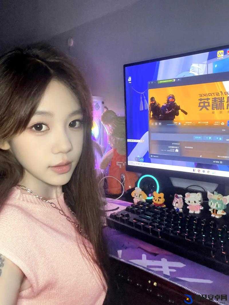 CSGO 暴躁姐：从天才少女到犯罪组织成员