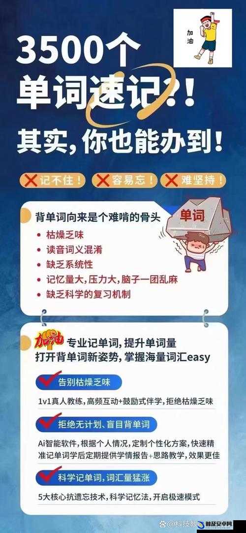 在教授棒棒上背单词：别样的学习体验与乐趣