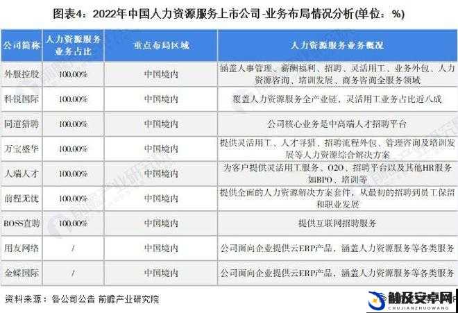 久久人力资源与普通版对比：功能、服务与价格全方位解读