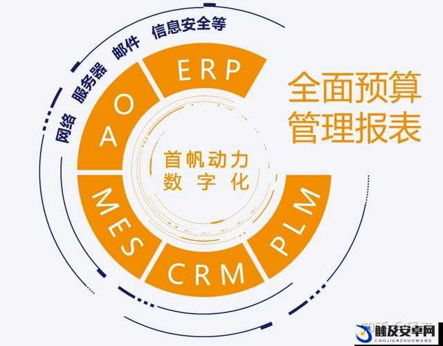 成免费crm 特色 vip：引领企业数字化转型的新范式