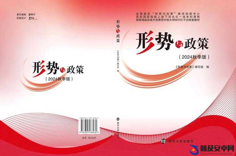 惩戒 2 狂热的工作指导：剖析其深层内涵与实践策略