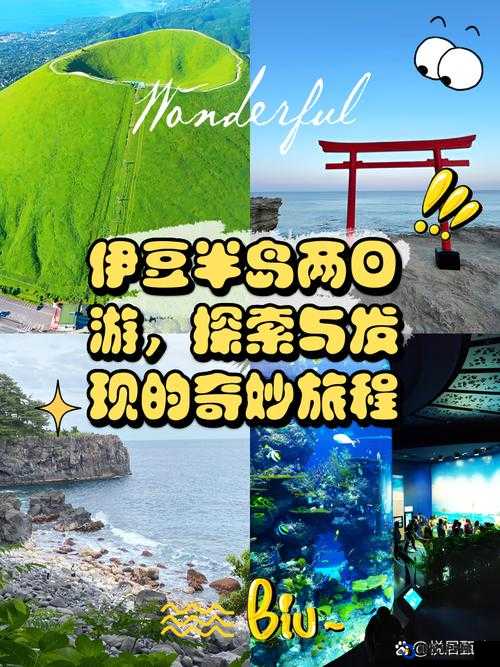 极品俄罗斯 XXXⅩⅩⅩⅩⅩⅩ：探索未知的奇妙旅程