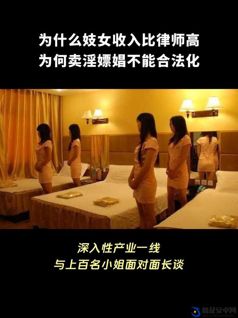 中国卖媛 BBw 护士多毛：探究网络热点背后的人性与道德