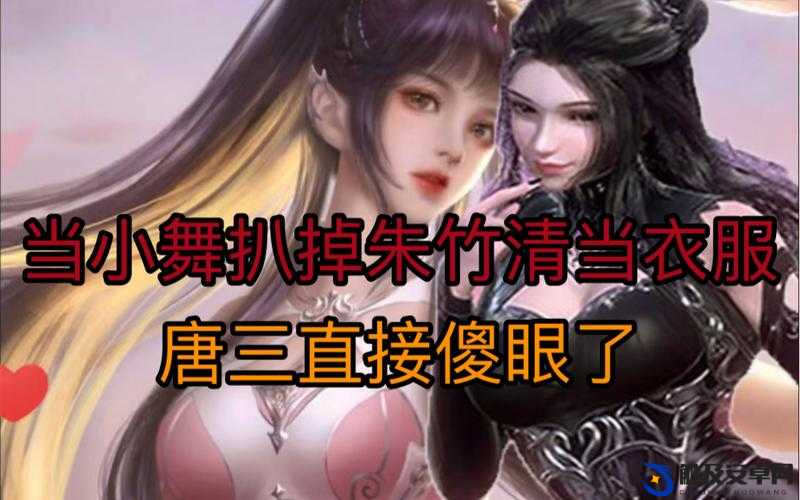 小舞新形象 PS 掉所有衣服图片软件：创新视觉体验，激发无限想象