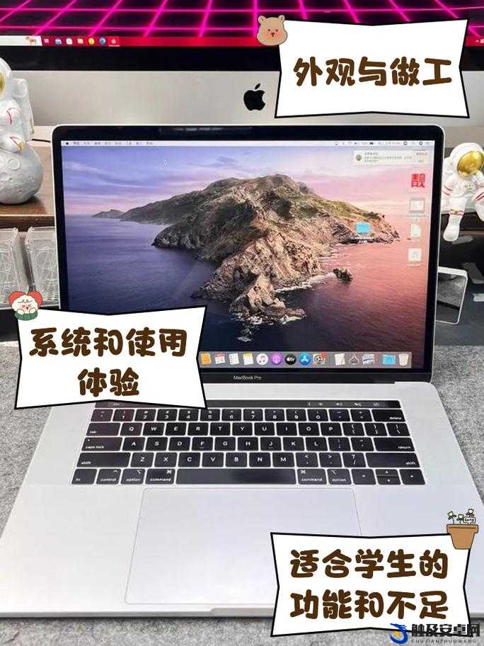 16 岁日本学生 MacBookPro 评测-网传比安卓版本画质更高引关注