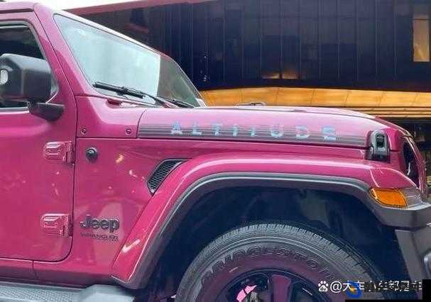 桃红色Jeep 界人口的功能介绍：全面其独特之处