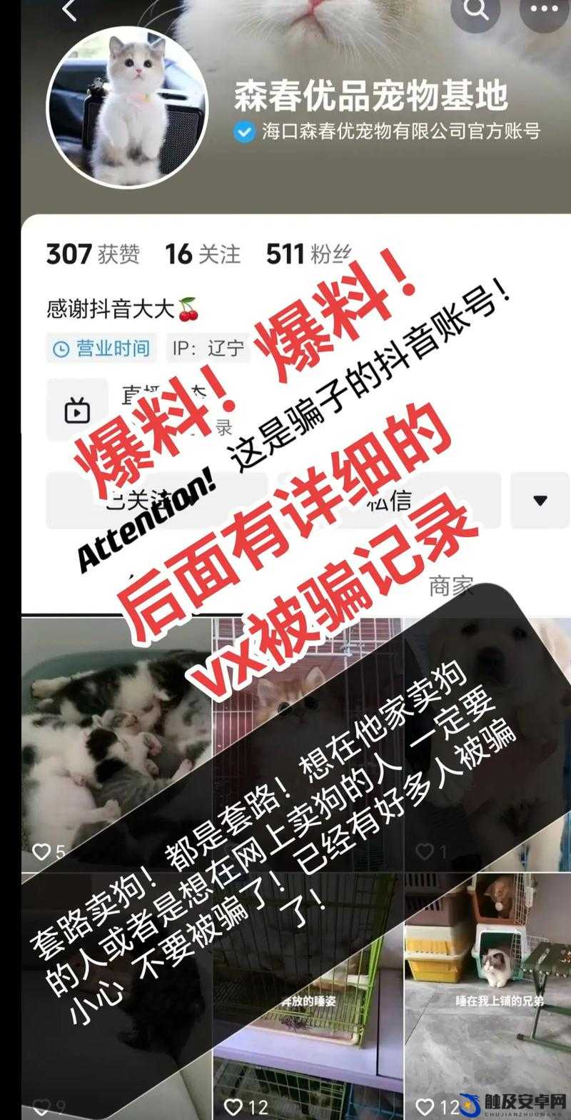 抖音网红黑料爆料网免费大揭秘：揭开网红背后的秘密