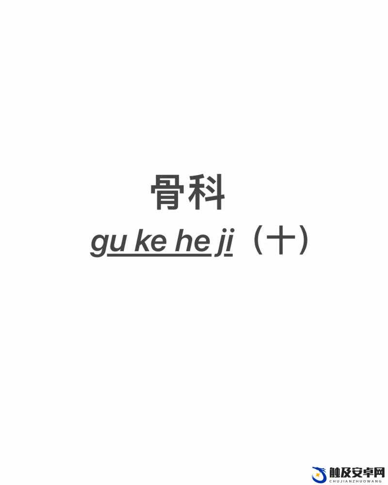 双向治疗双产骨科年上：一段独特的情感与治愈之旅