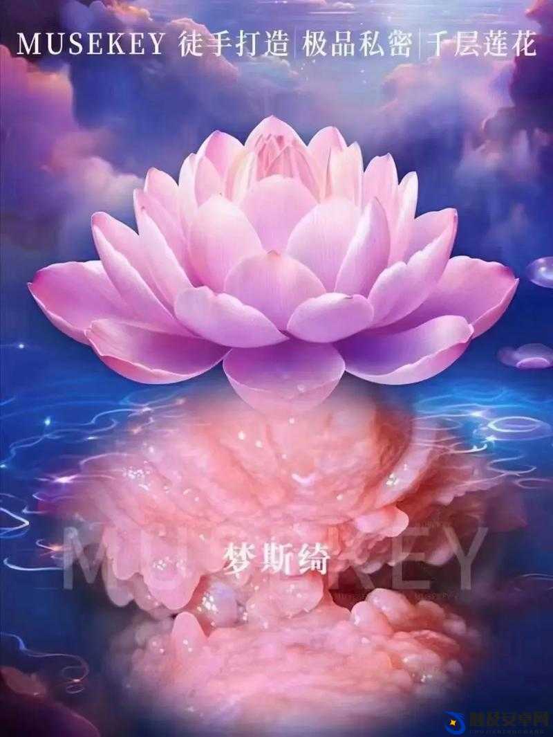 女人千层莲花激活后是什么样的：探秘其背后的奥秘与特征