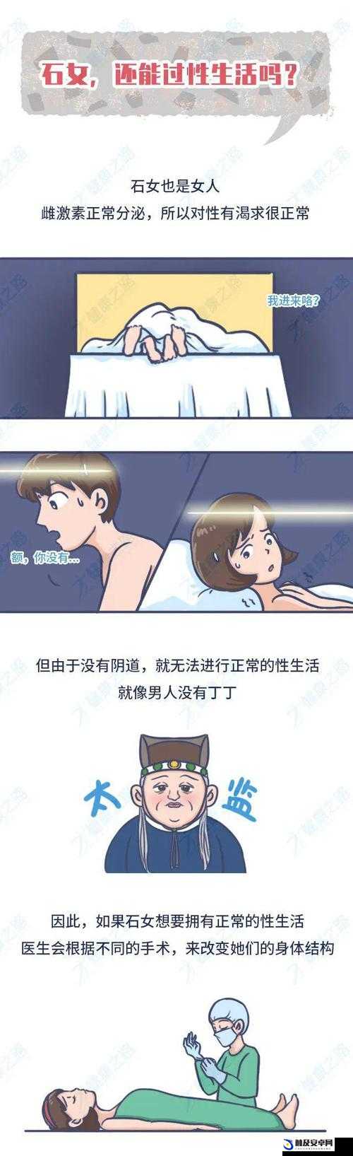 健康成人漫画：探索两性关系的艺术