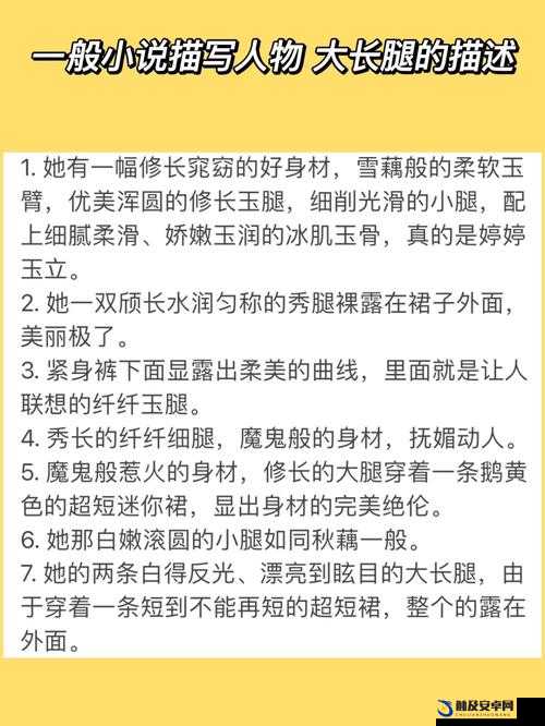 白衣校花与大长腿小说全免费：让你畅享精彩阅读体验