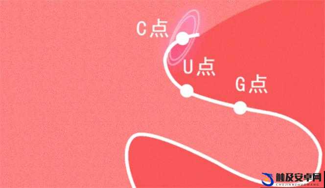 新手自 W 到高 C 方法及相关照片示例