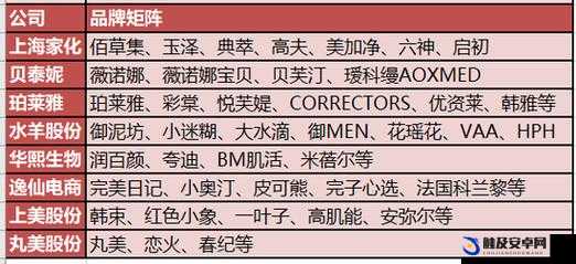 成品网源码 78w78 核心特点：高效稳定安全易用的源码