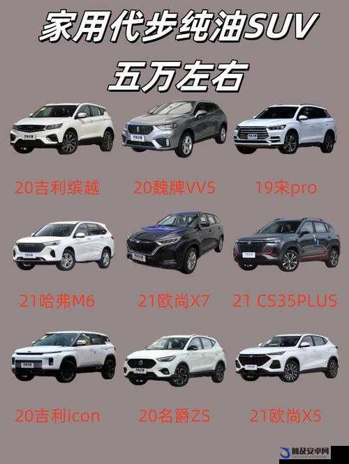 wey vv5 国产 SUV 最新视频评测：深度解析亮点与性能