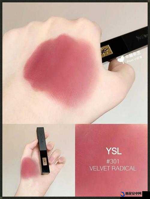 YSL 水蜜桃 86 网站：探寻时尚与美妆的魅力之境