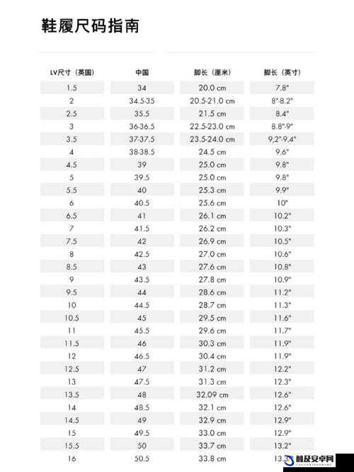 欧洲尺码与日本尺码的对比专线之深入分析与详细解读