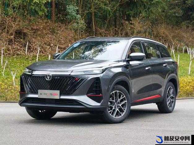 2024 年热门 SUV 推荐：热门车型抢先看