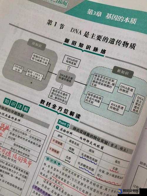 母亲 DNA 与儿子 DNA 一致的奇妙遗传奥秘