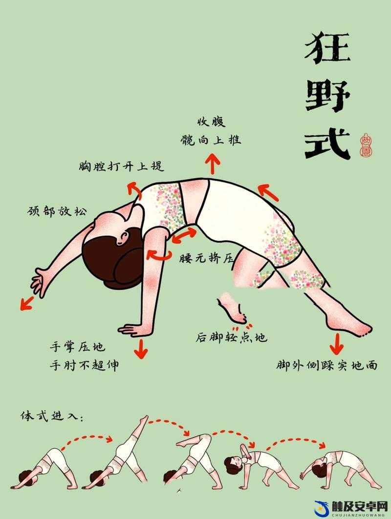 两种进入狂野式的方法有哪些随时进行点播及相关技巧