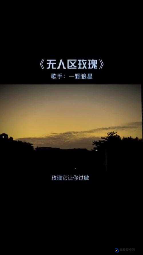 无人区玫瑰 MV 和一颗狼星相似激发灵感：独特音乐影像的创意源泉