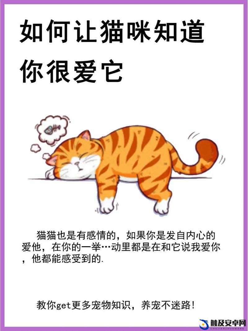 猫咪和汤是如何进入猫猫房间的？背后的原因令人暖心