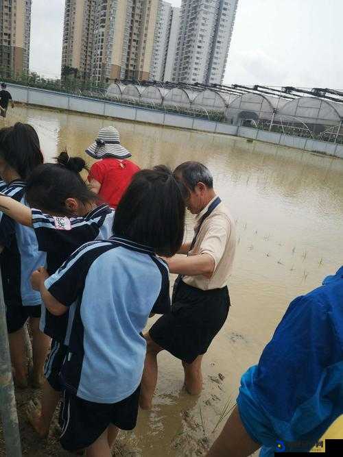 夫妻之间的 100 种插秧法：深入探究夫妻农耕协作的多样方式与技巧