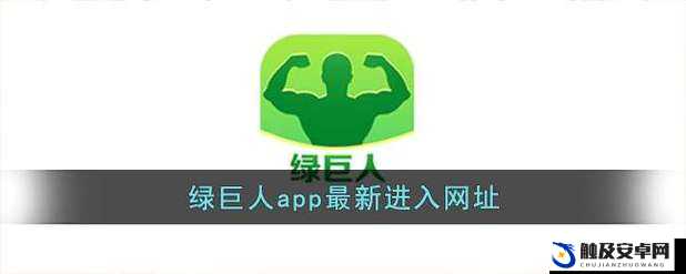 榴莲视频 app 下载汅 api 免费绿巨人：带你领略不一样的精彩世界