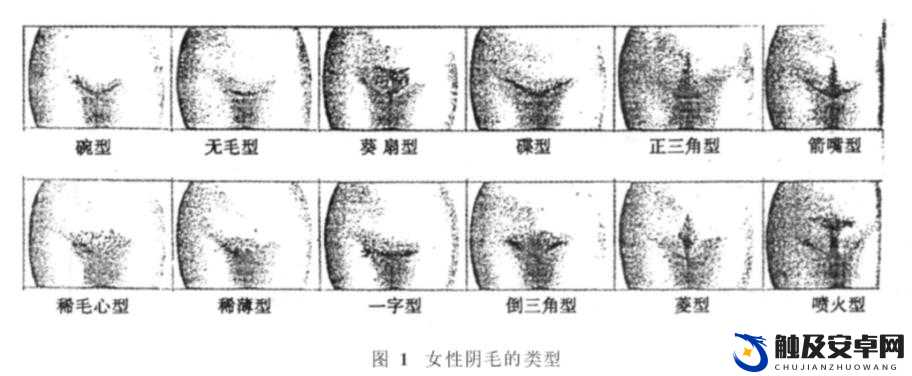 女性三角毛毛区腹部里面疼痛到底是什么原因引起的该如何应对