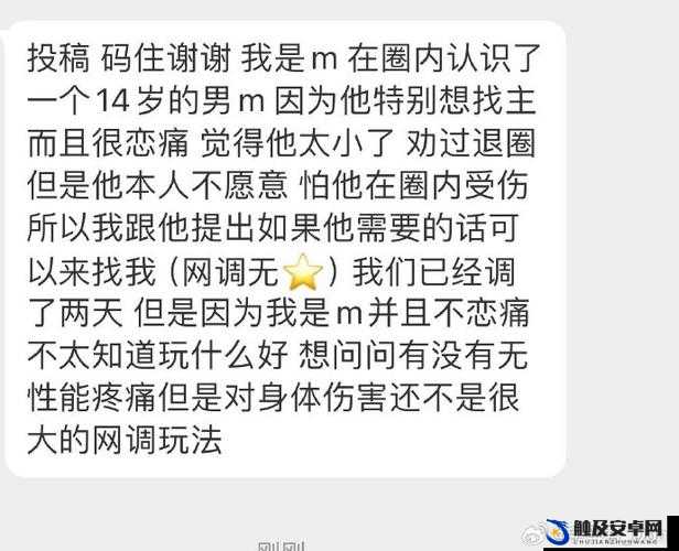 网调小狗任务表：详细全面且具体的工作安排清单