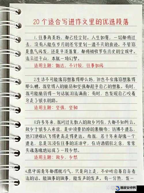 如何一支笔C哭自己：探索其背后的深刻情感缘由