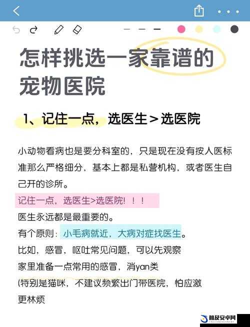 2025年春节前夕，快乐动物医院分享成功经营医院的实用策略