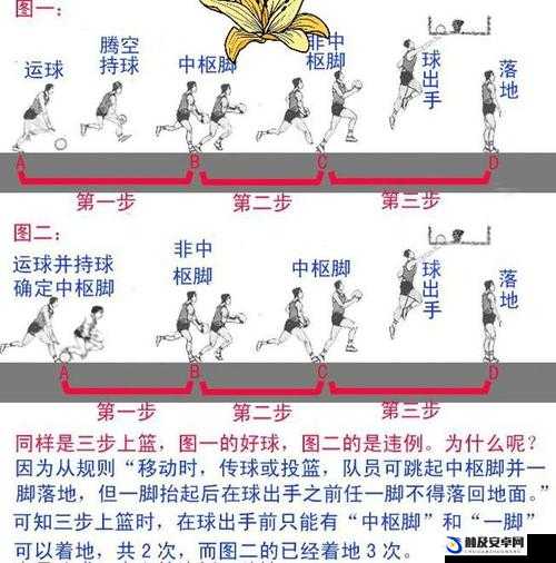 2025蛇年春节期间，掌握最强NBA上篮与灌篮技巧，解锁高效得分秘籍