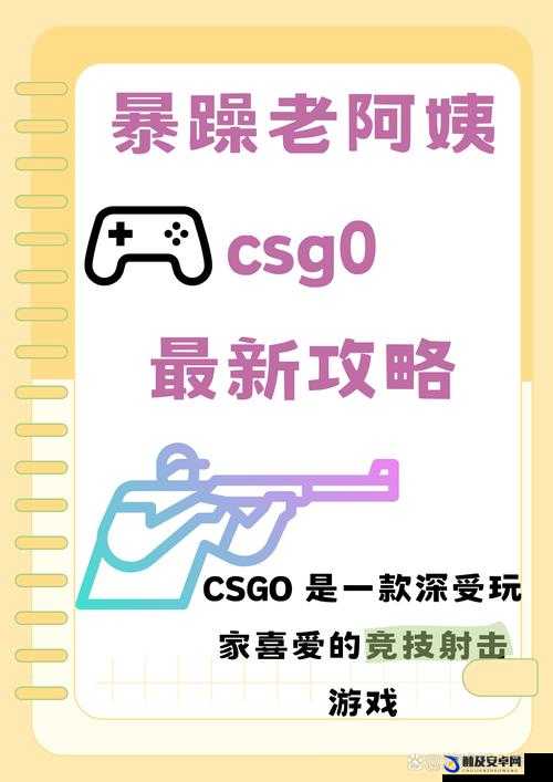 暴躁老阿姨 CS-GO 新手技巧：教你快速提升游戏水平