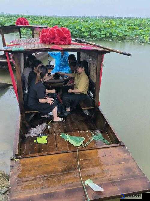 老人船上弄雨荷最后生了几个孩子：探寻背后的故事与真相