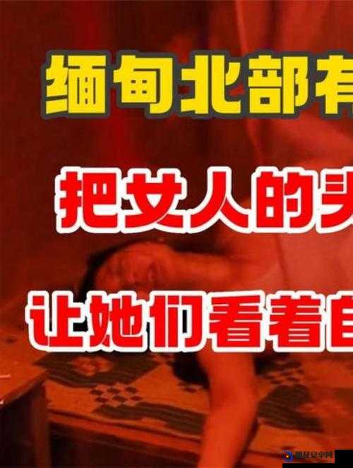 缅甸外网恐怖网站入：揭秘恐怖主义的黑暗网络