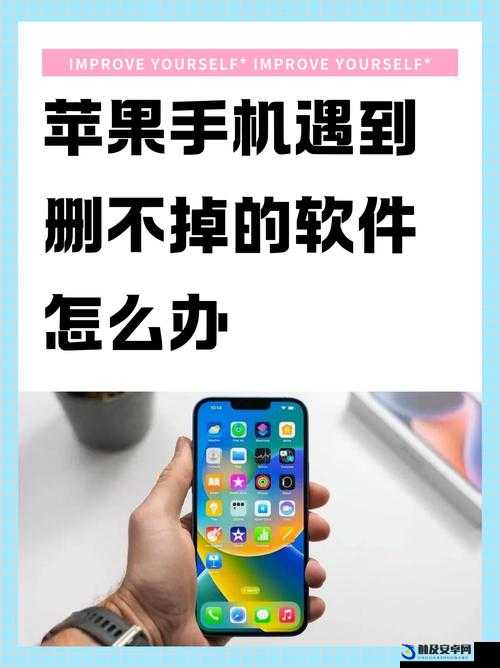 日本成熟 iphone 软件：让你的生活更精彩