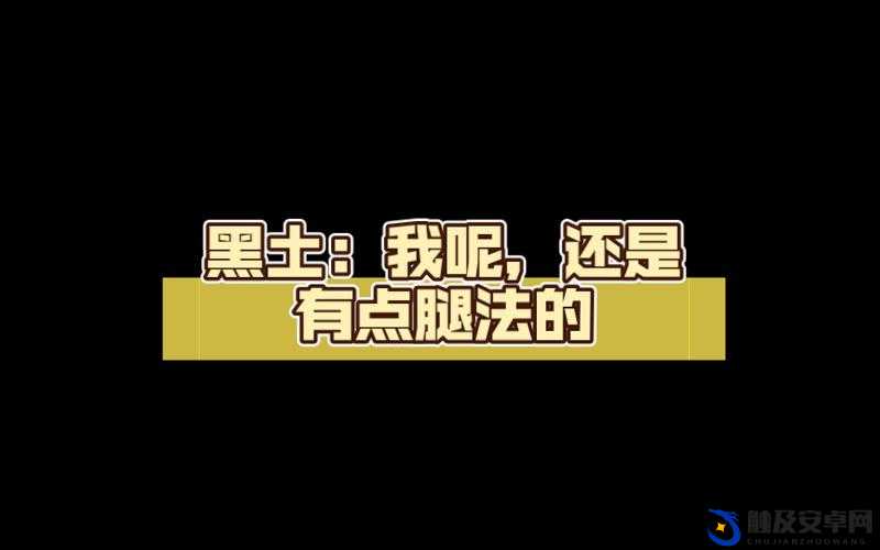 黑土ドラえもんの脚法：探索其独特魅力与技巧奥秘