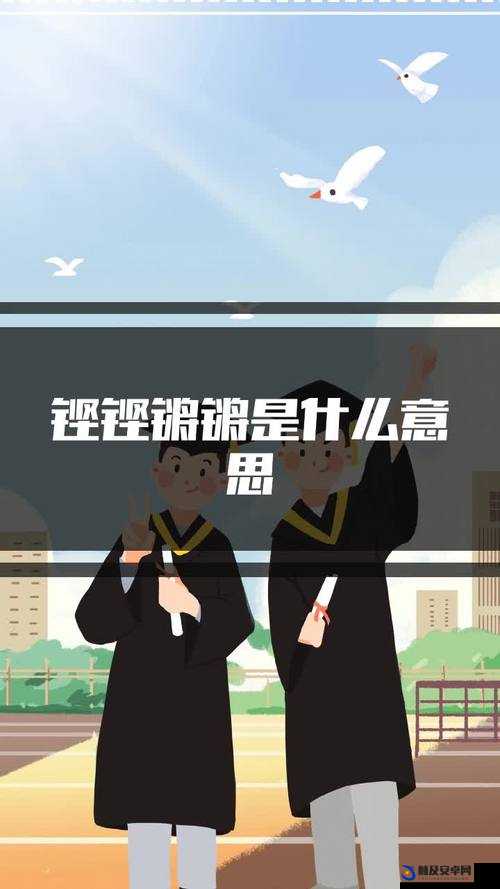 让你心跳加速的免费高清播放：铿铿锵锵，你准备好了吗？