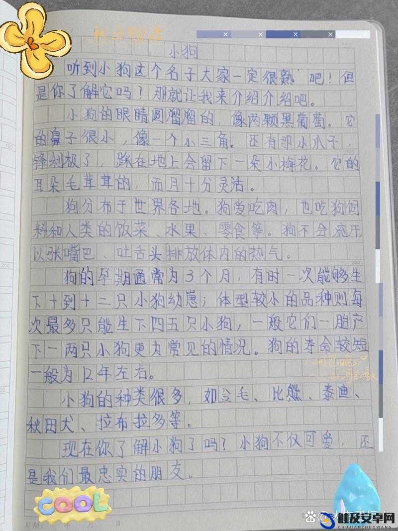 办公室可不可以干湿你小狗狗这一问题引发的思考与探讨