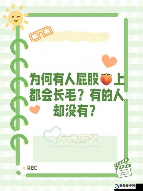 大毛毛是什么意思网络用语：探究其背后的含义和文化现象