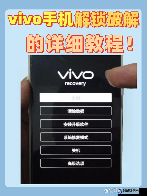 3.0.3 免费 vivo 版破解大全：涵盖多种实用软件破解集合