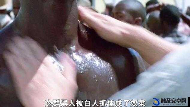 当性与种族碰撞：探索黑人舔阴的多元视角