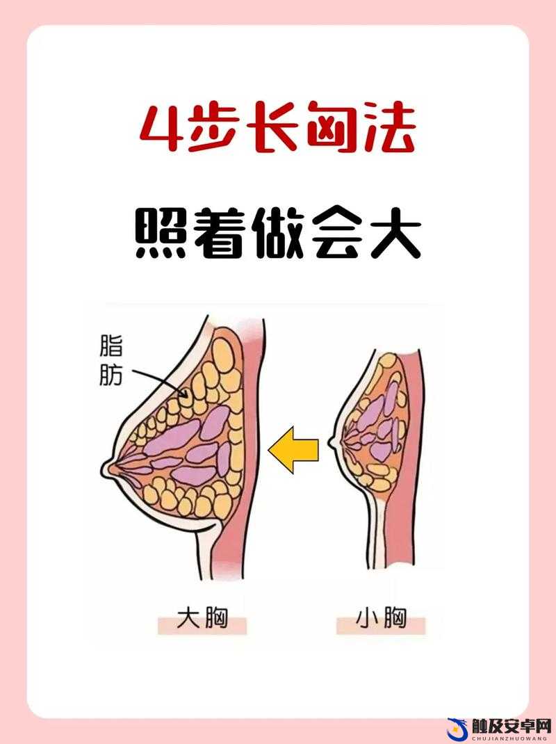 女生胸怎么变得大一点：科学有效方法全解析