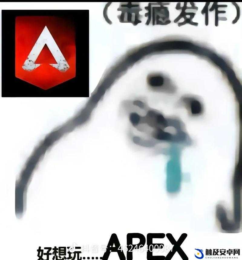 老婆不在家，快来一起畅快玩 Apex 啦