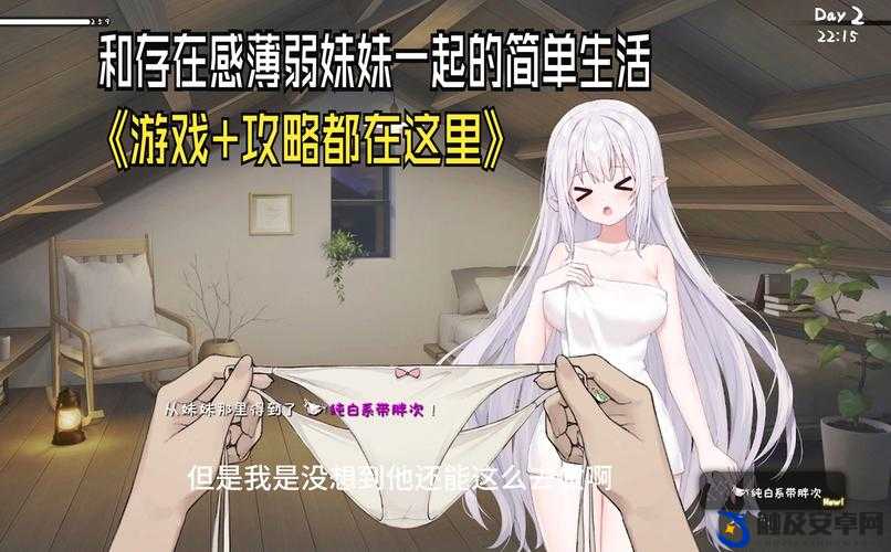 和妹妹一起度过的一个月通关攻略：和妹妹共度温馨时光