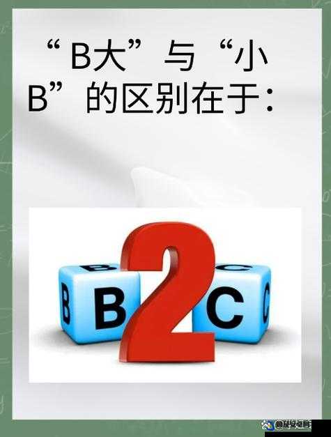 B 与 B 不同区别之特性探讨与辨析