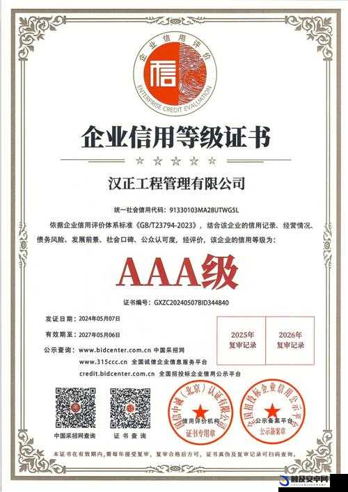 一级 AAA 与二级 AAA 证书对比-深入剖析两者差异及价值所在