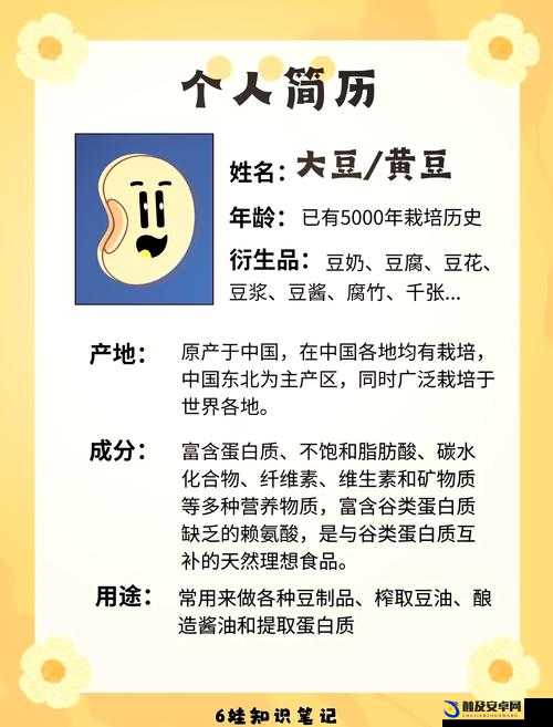 91 麻豆精产国品一二三产区区的独特魅力与发展探究